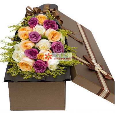 ɫ㙉ɫõ干19֦ɫ䣨һNȱ؛QɫSL