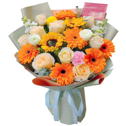 6ɫɻ9㙉õ壬h(yun)ů