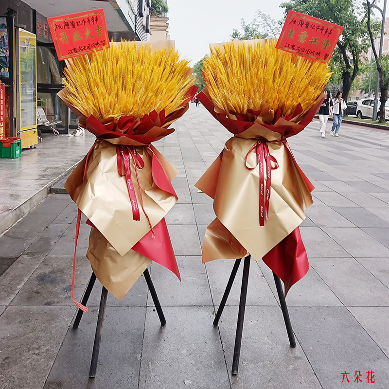 4_I(y)_I(y)@ͻ