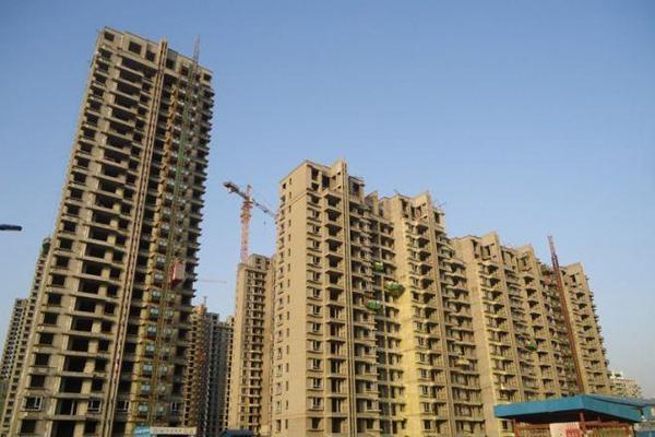 1616036254931841.jpg 13.jpg